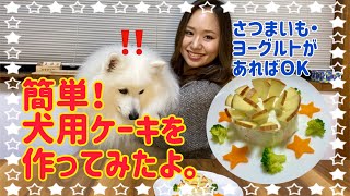 【簡単】愛犬の誕生日🎂犬用のケーキを作ってみました！＊手話付き