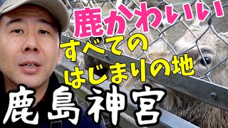 【最強パワースポット鹿島神宮④】可愛い鹿と戯れた♫皇居、富士山、伊勢の神宮、高千穂神社を一直線に結ぶレイライン始まりの地！【茨城観光名物】