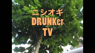 ニシオギDRUNKerTV:現場からは以上です! vol.1 補助132号線はいま。2022.09.16