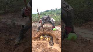 Digging for Treasure worth millions #goldhunter #treasurehunt #shortsvideo