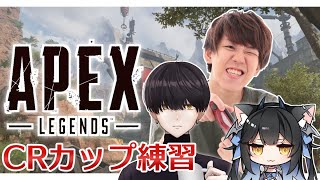 【生放送】CRカスタム練習 | Apex Legends