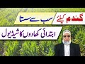 Cheapest Basal Fertilizer schedule for Wheat crop || Crop Reformer