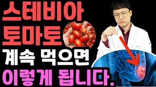 약사인 제가 스테비아토마토를 먹지 않는 이유(단마토, 샤인마토 etc)