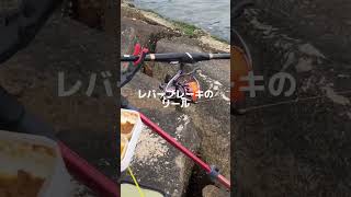 南芦屋浜キャナルパーク釣果　　　　チヌの宝庫南芦屋浜石畳　フィッシングマックス芦屋店