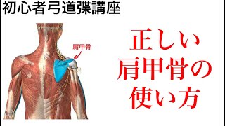 【初心者弓道講座】正しい肩甲骨の使い方。上半身の筋肉が全て伸びる肩甲骨の使い方