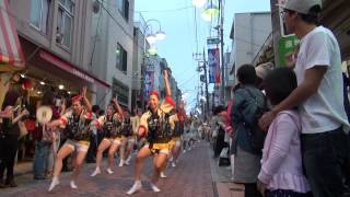 高円寺阿波踊り　2015年8月29日 山形んだず連⑧