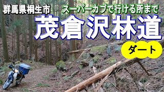 【茂倉沢林道】(群馬県桐生市)スーパーカブ110(JA10)「茂倉のお釈迦様」「お釈迦様の湯(伝説の温泉)」「茂倉沢鉱山」に行けるダート林道を行ける所まで走ってきた様子(カブ散歩)