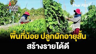 พื้นที่น้อย ปลูกผักอายุสั้น สร้างรายได้ดี | ทุกทิศทั่วไทย | 24 พ.ค. 67