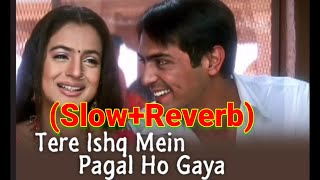Tere ishq Me Pagal Ho Gya (Slow+Reverb) Songs | 💔90s Love 💔#uditnarayan