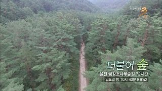 161009 다큐멘터리3일 예고 ㅣ KBS방송