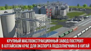 Крупный маслоэкстракционный завод построят в Алтайском крае для экспорта подсолнечника в Китай