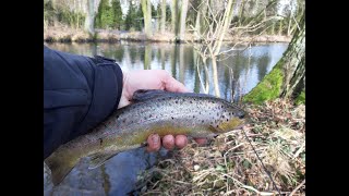 Pstrąg, Otwarcie sezonu I 01.02.2020 #Trout