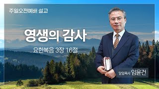 [대양교회] 2024.11.24. 영생의 감사 / 요 3:16 / 임윤건 담임목사