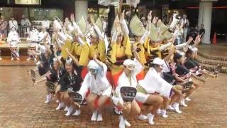 いなせ連「本祭一日目」☆南越谷阿波おどり2016 in Sセンター広場