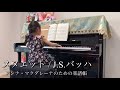 【年長】23.メヌエット menuet j.s.バッハ