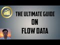 The Ultimate Guide On Flow Data