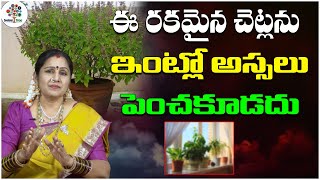 ఈ మొక్కలను ఇంట్లో అస్సలు పెంచకూడదు | Chandraja Vadapalli | Devotional Tree