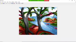CGMB504 Lab - MATLAB Image Processing Toolbox
