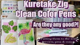 ✨🖊 ✨Review Kuretake Zig Clean Color Real Brush Pens| Techniques, drawing w/ them: pros & cons