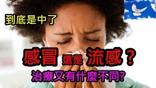 感冒?流感? 差別到底是什麼!? | 三分鐘聊醫學EP1