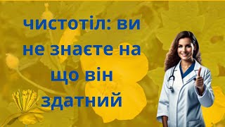 ЧИСТОТІЛ: ЛІКУВАЛЬНІ ВЛАСТИВОСТІ І ЗАСТОСУВАННЯ В НАРОДНІЙ МЕДИЦИНІ.