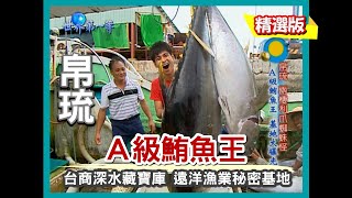 【帛琉】A級鮪魚王 台商遠洋漁業秘密基地（大型吊車下魚作業）｜《世界第一等》368集精華版