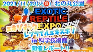 レプタイルエキスポ公式チャンネル2021/11/23(火㊗️)科学技術館開催レポート‼︎ ExoticReptileExpo in Tokyo‼︎