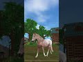 it didn’t really match but whateverrr horse starstable starstableonline