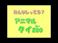 ゆかいなどうぶつたち　そらのおともだち「ペリカン」