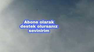 (Hawk attack) Atmaca saldırı güvercini gafil avladı