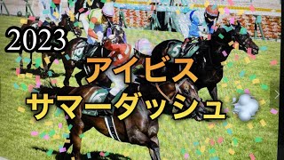 2023年7月29日アイビスサマーダッシュ🏇新潟競馬場開幕初日週です。くれぐれもご安全に。