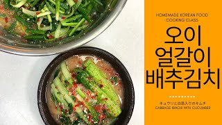 오이와 얼갈이배추가 맛있는 간단한 김치를 만들어 드세요~, 오이얼갈이배추김치 (CABBAGE KIMCHI WITH CUCUMBER)