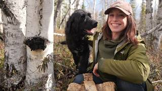 Foraging in Alaska | Birch & Cottonwood