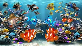 The Best Aquarium for Relaxation 🐠 Sleep Meditation Music - Scenic Relaxation- HD Screensaver