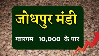 आज जोधपुर मंडी के ताजा भाव।बाड़मेर मंडी के ताजा भाव।ग्वार का भाव।सरसो का भाव।तिल का भाव आज का