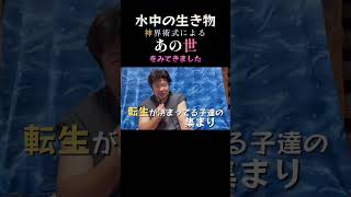 【咲の経験則。記憶】水中の生き物 神界術式による あの世を見てきました #彩咲ちゃんねる#満作乃宿リシ縁 #年の差 #神界 #術式 #あの世 #恐竜 #shorts