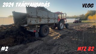 🚜Traktoros Vlog #2 💩Trágyahordás💩 (MTZ 82)