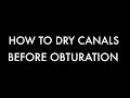 Quick & easy way to dry canals before obturation