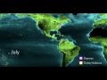 Why Do Birds Migrate? (Educator Version) | California Academy of Sciences