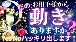 【Yes No出ます🐱ガチ忖度なしで‼️🩷】お相手から動きありますか？【サクッと！お相手様のお気持ち♦︎有料鑑定級♦︎辛口あり】