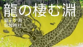 【本編】🐲龍に会いに行くnara 🐲龍王ケ淵⛩️堀越神社 2024/05