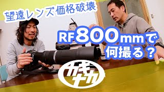 【新世代レンズと大きな誤解】超望遠RF800mmで何撮る？