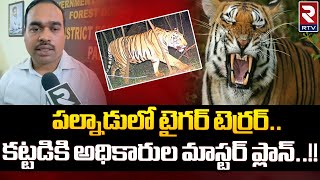 Tiger Tension In Palnadu District : పల్నాడులో టైగర్ టెర్రర్ కట్టడికి అధికారుల మాస్టర్ ప్లాన్ || RTV