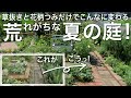 簡単作業で夏庭をキレイに保つ！1週間留守にした庭をメンテナンス‼︎