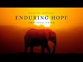 Enduring Hope ''Daniel Deuschle'' (EMOTIONAL FEMALE VOCALS COVER) @Avarwen