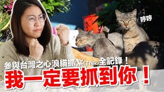 貓咪都好奸詐！親身體驗誘捕貓咪TNR過程【好味貓知識】EP15 feat.台灣之心