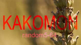 公認心理師国家試験過去問　randomV64