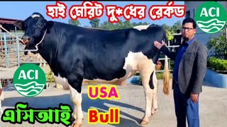 এসিআই 100% Hf ইমপুট বুল ১০৪/০৫/৬/১০৭ ও শাহিওয়াল বুল ৯০/৯২/২১/৪৮/৮৪ বুলের পিডিগ্রী সহ ভিডিও ২০২৪