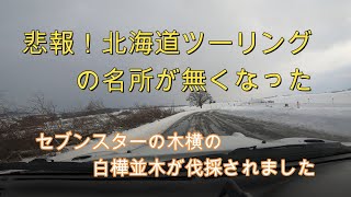 悲報！北海道ツーリングの名所　白樺並木が伐採されました　セリカGT-FOUR　ST185