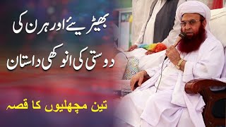 حضرت میاں محمد حنفی سیفی | Hirn Aur Bheria | 3 Machlian